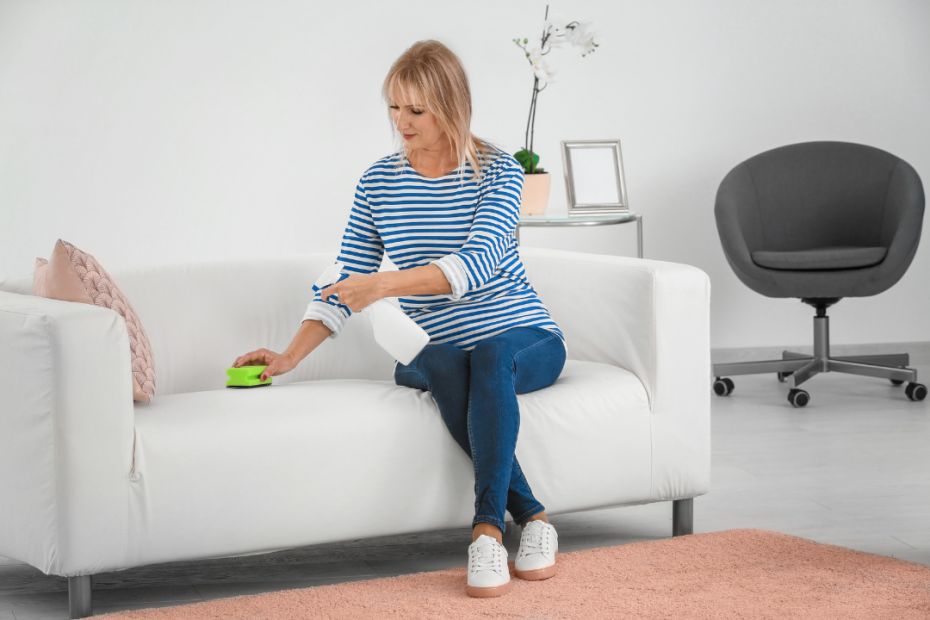 Tips to Clean a Sofa